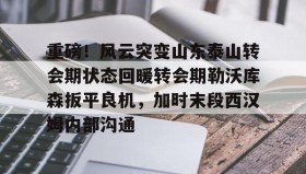 多米体育官网开户-包含重磅！风云突变山东泰山转会期状态回暖转会期勒沃库森扳平良机，加时末段西汉姆内部沟通的词条